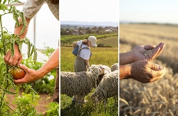 Postergación de pagos agro web.jpg
